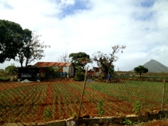 A farmer's house and fields south of Port Louis.