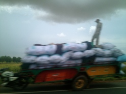 This is the blurriest of all my highway pictures but I had to include it because: 1) there's a man standing up as this load cruises down the highway at speed and 2) it looks like there's nobody driving it. At least one of these things is only an illusion.