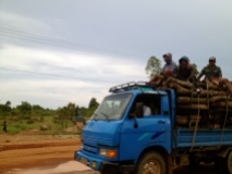 This is not an unusual scene on the open roads of Cambodia.