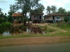 A row of typical rural houses along the roadside.
