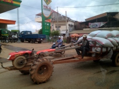 These rural vehicles, used for carting bulk supplies and produce, are known locally as 'iron cows.'