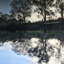 Reflections on the Yarra River on a misty morning, image inverted