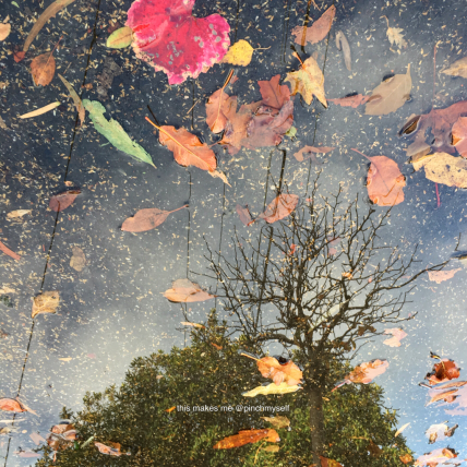Autumn reflections, inverted image